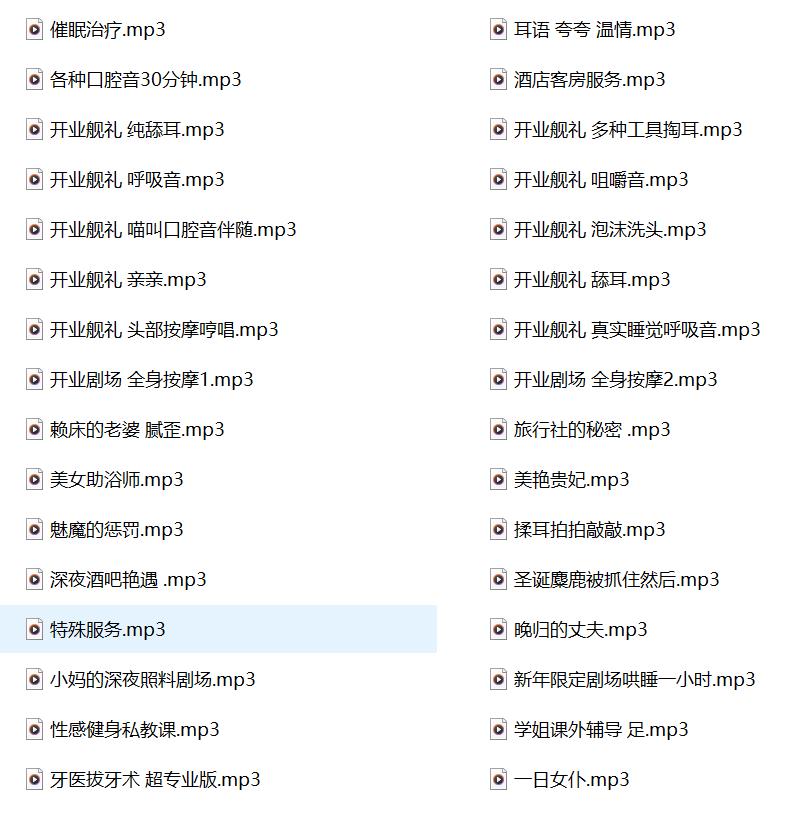 迟早早有声小说